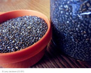 Chia Samen Superfood